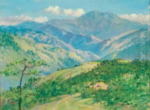 View From The Overlook by David Howard Hitchcock