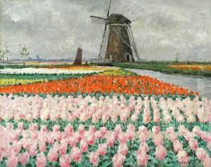 Pink Tulips