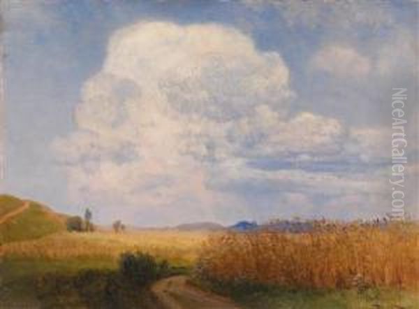 "aufsteigende Gewitterwolken Im Hochsommer. Motiv Bei Puchberg Am Schneeberg" - view 1