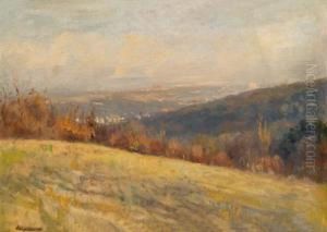 Blick Auf Wien Vom Lainzertiergarten by Anton Hlavacek