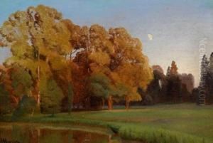 Abendsonne by Anton Hlavacek