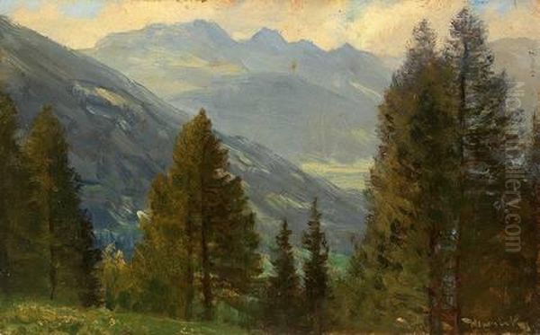 Blick Gegen Hofgastein Von Badgastein - view 1