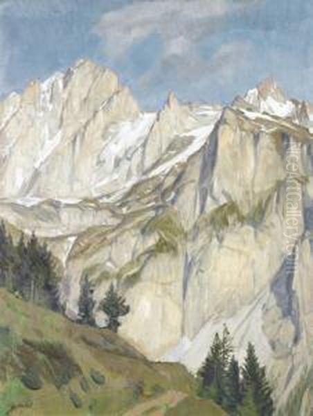 "die Windgalle". - view 1