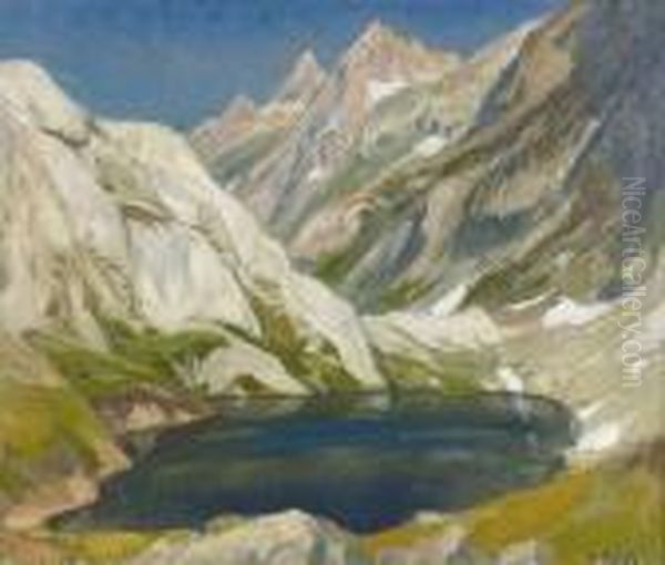 Grimselpass Im Sommer. - view 1
