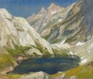 Grimselpass Im Sommer.