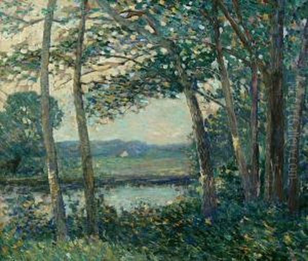 View Of A Pond Through A Stand Of Trees - view 1