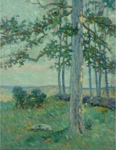 Long Island Landscape