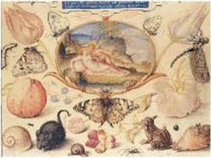 Scene Mythologique Et Nature Morte by Joris Hoefnagel