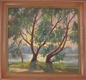 Willow, Old Road