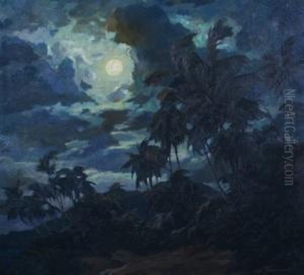 Acapulco Nocturne - view 1