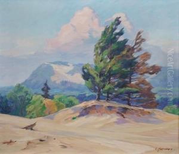 Grand Haven Dunes - view 1
