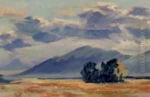 Evening On The California Desert