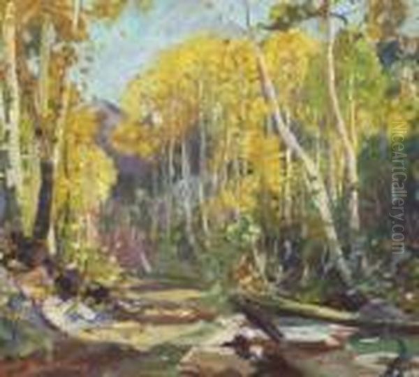 Quaking Aspen, In The Rocky Mountains, Near Taos New Mexico - view 1