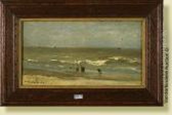 Plage Animee - view 1
