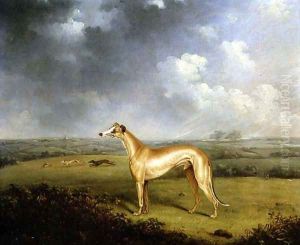 Reverend Henry Bate Dudley's Greyhound 'The Miller', 1799 by Henry Bernard Chalon
