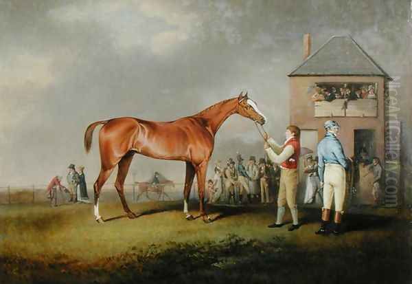 Portrait of 'Quiz', the property of Lord Rous, after his last race at Newmarket - view 1