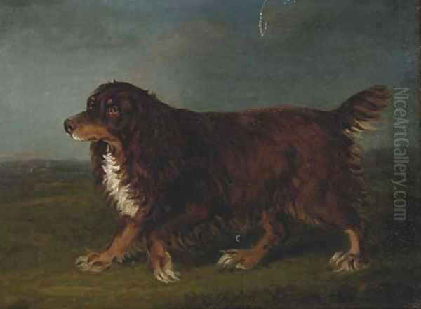 A spaniel in a landscape - view 1