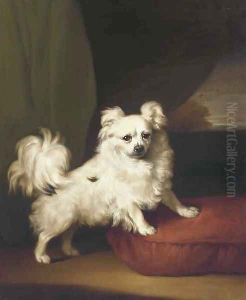 A White Papillon standing on a cushion - view 1