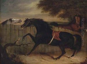 The stallion Smolensko with a grey mare and another horse by a fence by Henry Bernard Chalon