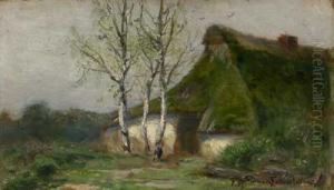 Reetgedecktes Haus Mit Birken