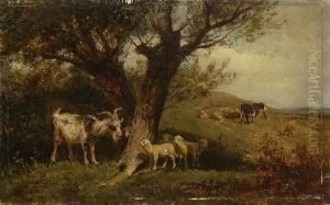 Ziege Und Lammer Unter
Baumen by Johann Baptist Hofner