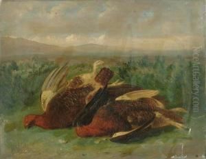 A Brace Of Grouse On A Moor