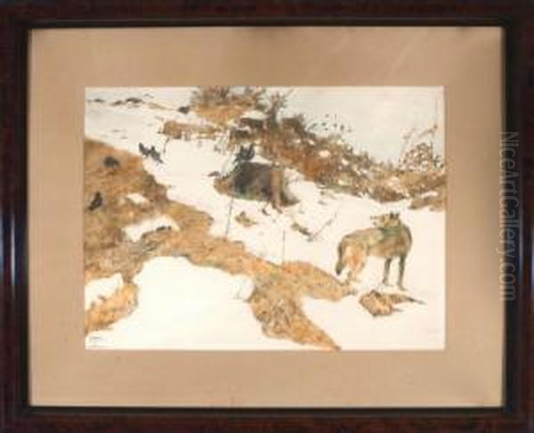 Wolf Und Einige Raben Im Altschnee - view 1