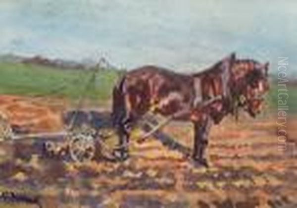 Feldarbeit - view 1
