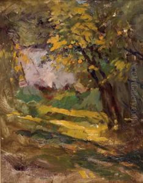 Landschaft - view 1