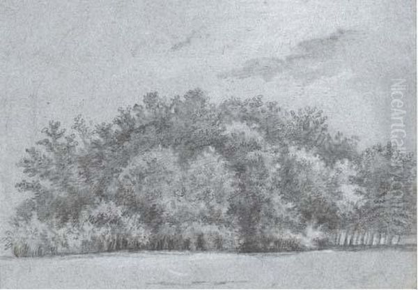 Vue D'un Taillis Dans Le Bois De Boulogne - view 1