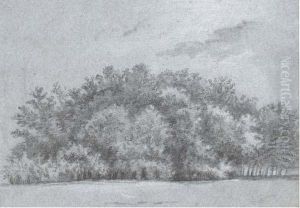 Vue D'un Taillis Dans Le Bois De Boulogne by Claude Jean Baptiste Hoin