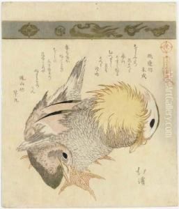 Pair Of Mandarin Ducks, From The
 Series Sanjurokkin Tsuzuki(collection Of Thirty-six Birds And Animals)