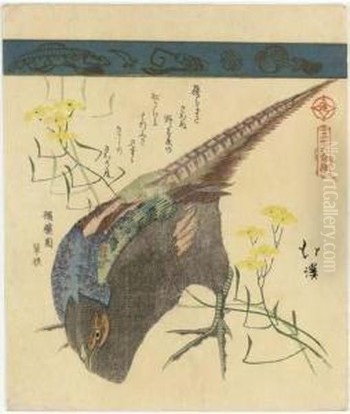 Pheasant With Yellow Flowers, 
From The Series Sanjurokkin Tsuzuki(collection Of Thirty-six Birds And 
Animals) - view 1