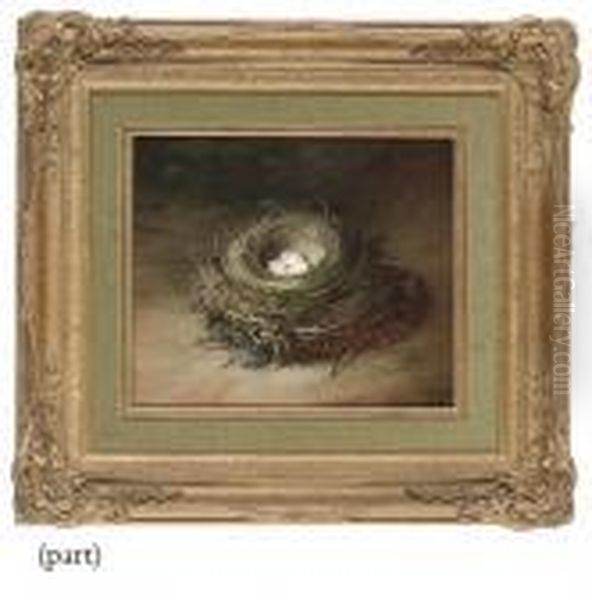 A Bird's Nest With Green Eggs On
A Sandy Bank; And A Bird's Nest With White Speckled Eggs On A Sandy
Bank - view 1