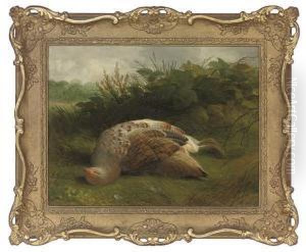 A Dead Partridge - view 1