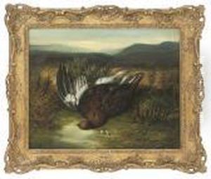A Shot Grouse by Abel Hold