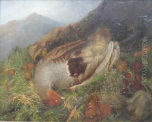 A Shot Partridge