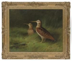 A Pair Of Woodcock