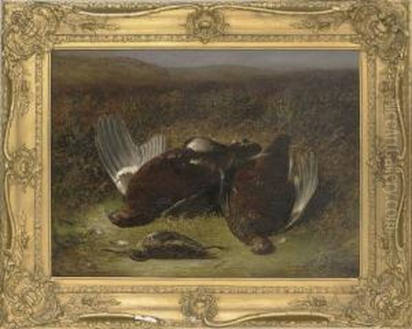 Two Grouse And A Jack Snipe - view 1