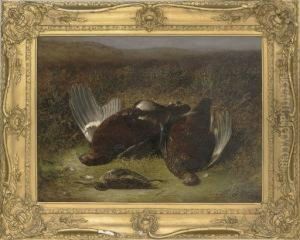 Two Grouse And A Jack Snipe by Abel Hold