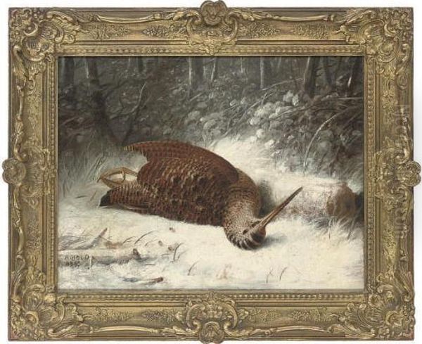 A Woodcock In The Snow - view 1