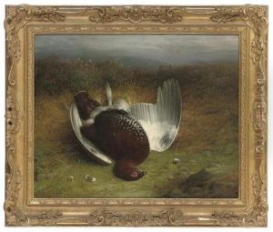 A Dead Grouse On A Moor