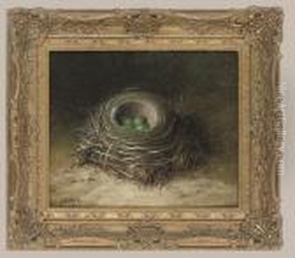 Bird's Nest With Four Eggs - view 1