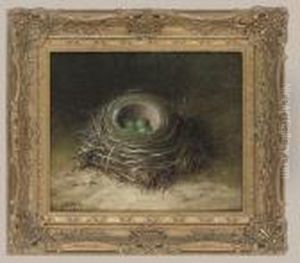 Bird's Nest With Four Eggs by Abel Hold