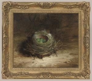 A Birds Nest On A Bank by Abel Hold