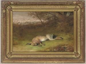 A Dead Hare