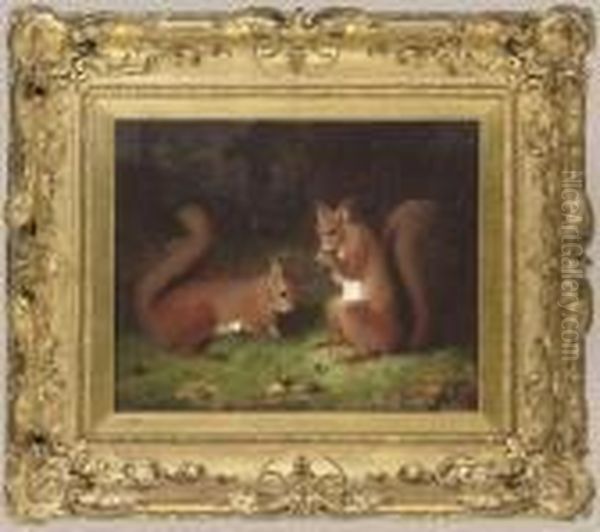 The Squirrels - view 1