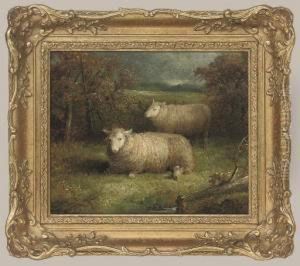 Sheep In A Landscape by Abel Hold