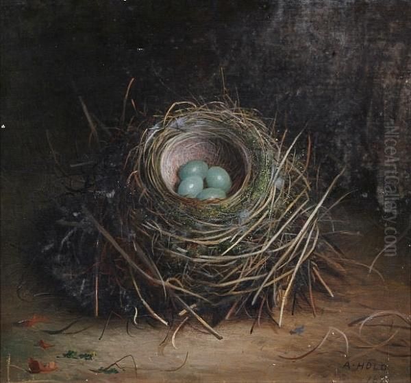 Bird's Nest With Blue Eggs; Bird's Nest With Speckled White Eggs Both 'a. Hold 1876' - view 1