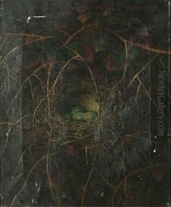 A Still Life Of A Birds Nest In A Hedgerow